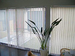 c0051759_11453430.jpg