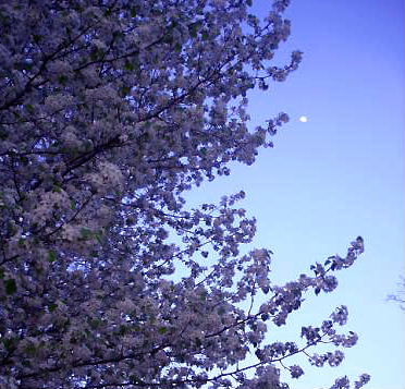 b0015260_20124097.jpg