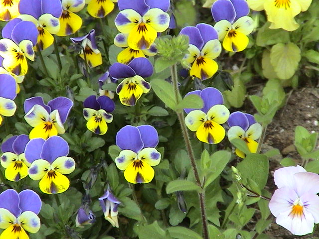 b0061261_23535981.jpg