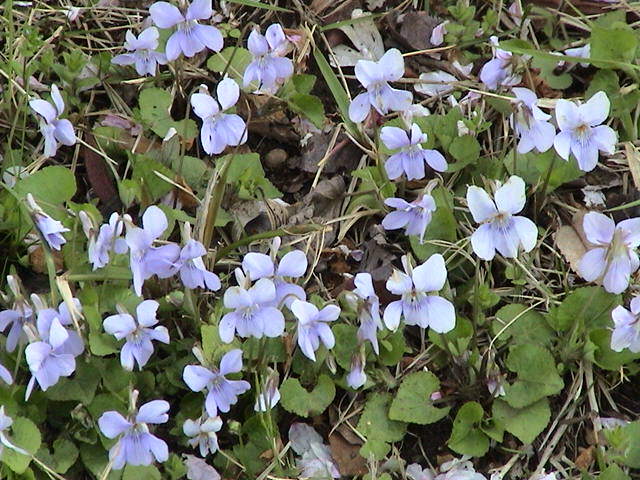 b0061261_23551316.jpg