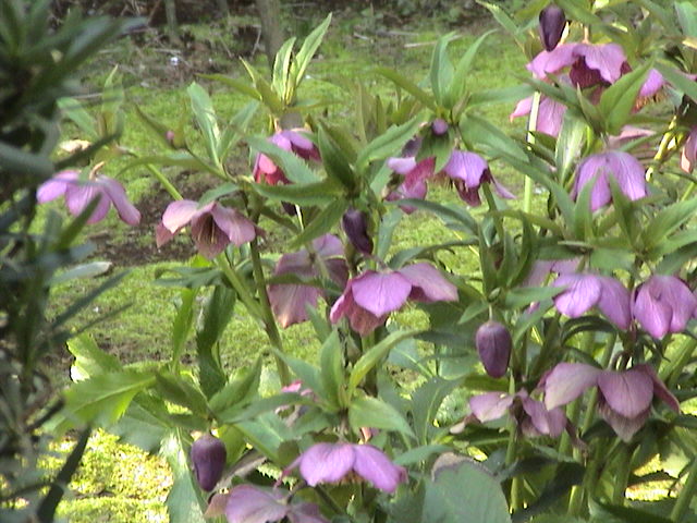 b0061261_23554886.jpg