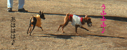c0012571_12395957.gif