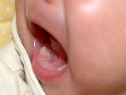b0061588_1291477.jpg