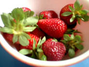 c0033994_30412.jpg