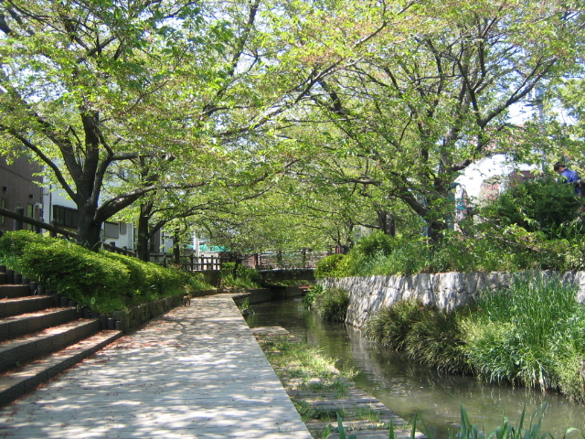 c0060115_1430273.jpg