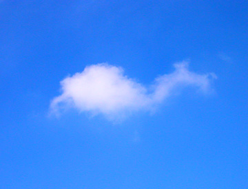 d0008925_23355843.jpg