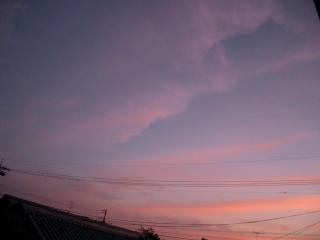 b0059627_16381939.jpg