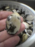 c0046928_22759.jpg