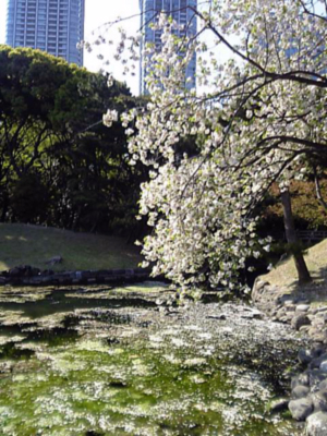 a0013134_0251421.jpg
