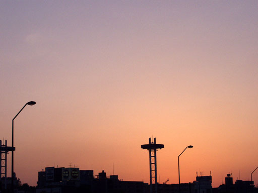 b0031237_23324665.jpg
