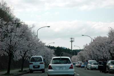 c0050264_11543662.jpg