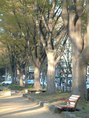 c0050264_12585818.jpg