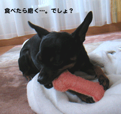 c0012571_19312171.gif