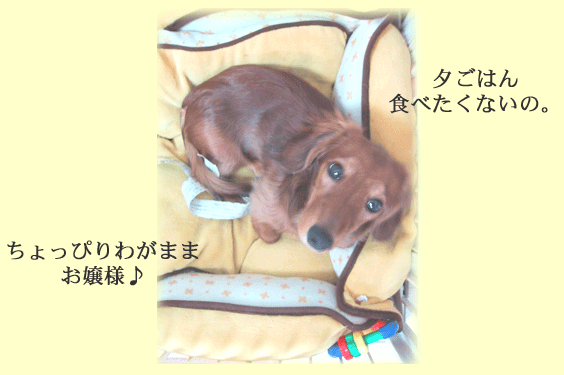 c0046285_21472747.gif