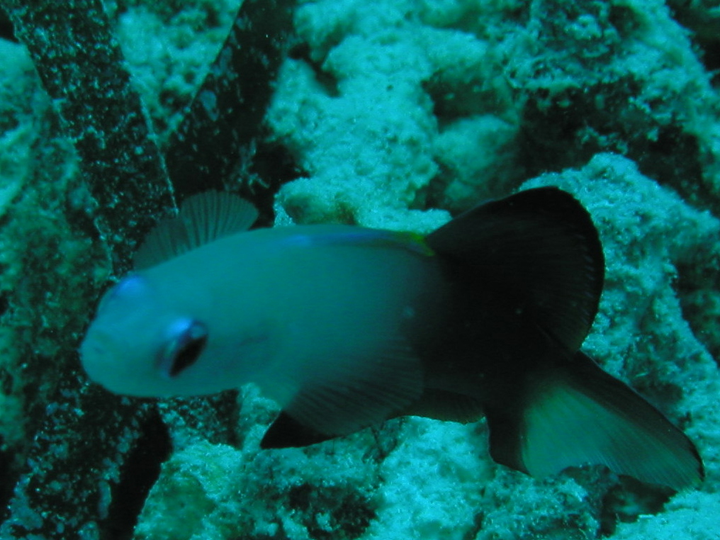 d0034291_17465975.jpg