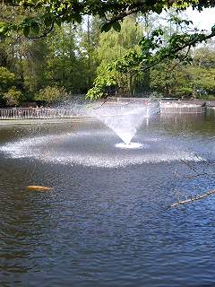 b0033799_0151275.jpg