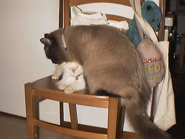 b0054904_2214529.jpg