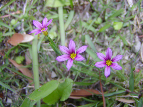 d0037110_1822861.jpg