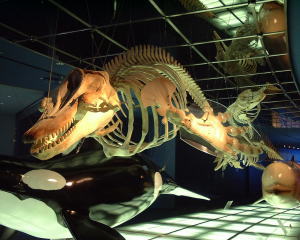 a0021421_18354066.jpg