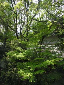 c0059521_22532885.jpg