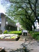 a0025141_16363497.jpg