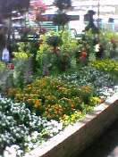 a0025141_16365648.jpg