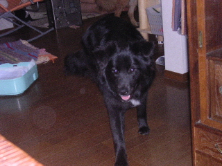 c0065643_2240160.jpg