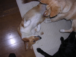 c0065643_22424318.jpg