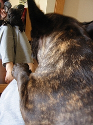 c0015354_21145490.jpg