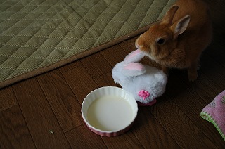 c0032257_1116539.jpg