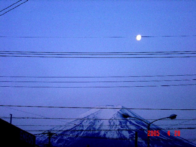 a0005691_5555049.jpg