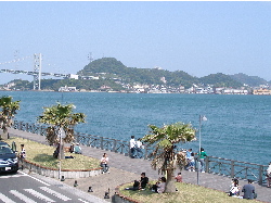 c0036203_1852558.jpg