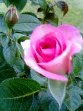 c0046316_2122211.jpg