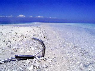 a0019117_1464195.jpg