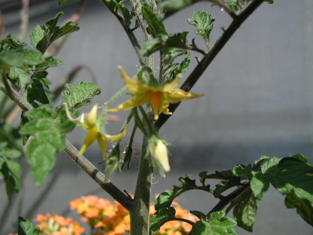 b0021937_0175420.jpg