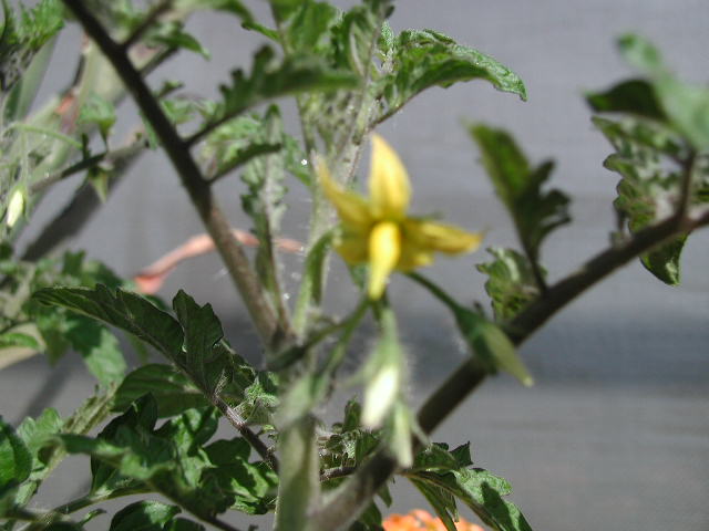 b0021937_018442.jpg