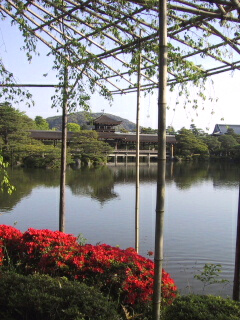 c0046340_12515531.jpg