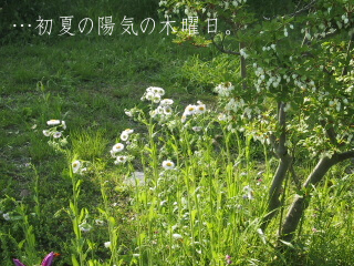 c0046340_9113673.jpg