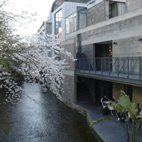 c0062361_18535620.gif