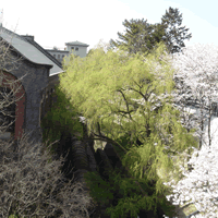 c0062361_18541110.gif