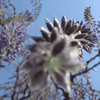 c0062361_21505217.gif