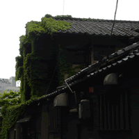 c0062361_21591085.gif