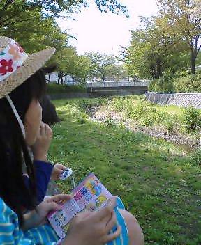b0009665_1484943.jpg