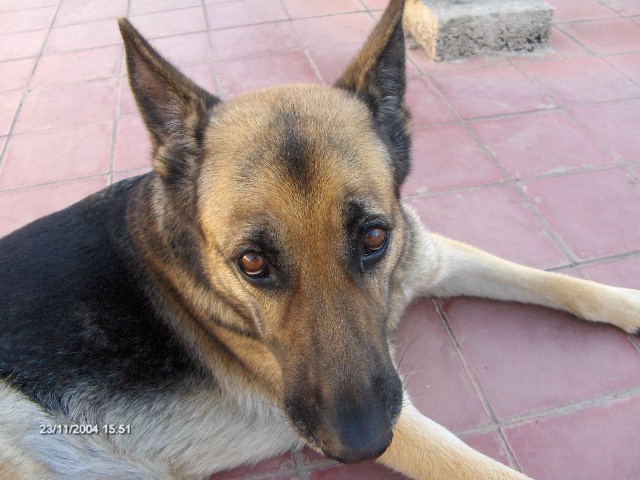 d0037896_18425846.jpg