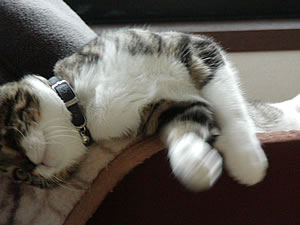c0035001_22562625.jpg