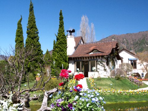 c0008502_433593.jpg