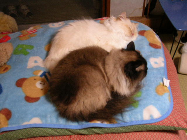 b0054904_21462762.jpg