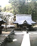 d0032405_839408.jpg