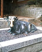 d0032405_8403063.jpg
