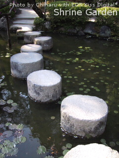 c0046340_23331319.jpg